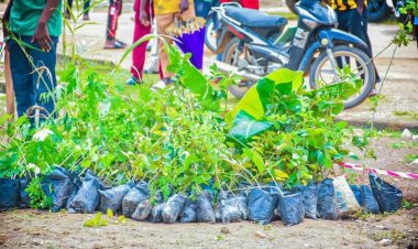 Abdulkadir Kure University Launches Campus Green-Up Project and ACRESAL Initiatives