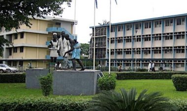 Lagos State University Teaching Hospital Launches Bone Marrow Transplant Program for Sickle Cell Disease