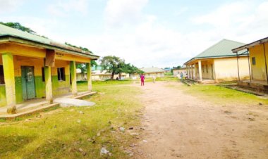 Parents Urge Intervention as FCT Primary Schools Remain Closed Amid Ongoing Teachers' Strike