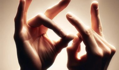 Nigeria National Association of the Deaf Advocates for Sign Language Inclusion in Official Curriculum