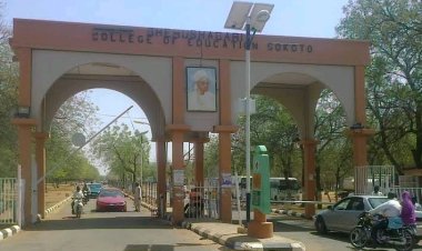 Accountant Mansur Aliyu Resigns from Shehu Shagari College of Education, Sokoto