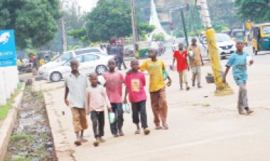 50 Million Almajiri and Out-of-School Children Roaming Nigeria’s Streets, FG Reveals