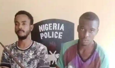 Bauchi Police Arrest ATBU Students for Criminal Conspiracy, Housebreaking, and Theft