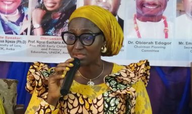 Nnamdi Azikiwe University Hosts National Summit on Child's Rights: Prof. Kate Azuka Omenugha Participates as a Panel Discussant