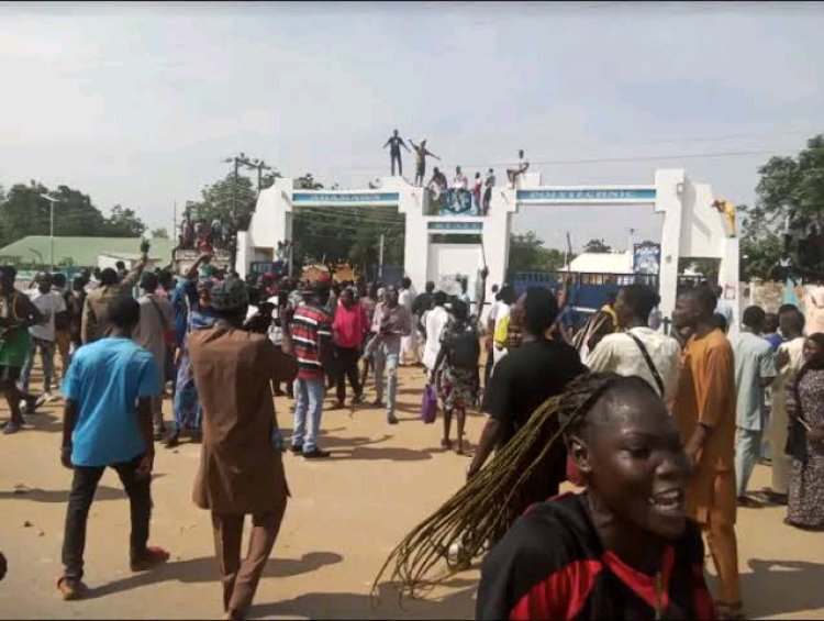 Adamawa State Polytechnic Students Protest Power and Water Outages