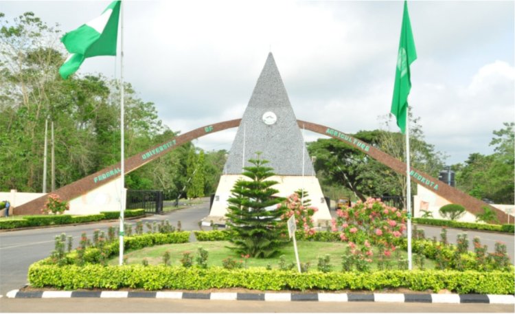 FUNAAB Provost Professor Olufemi Fatade Awarded Fellowship by Mathematical Association of Nigeria