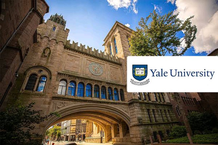 Yale University Announces 2024-25 Scholarship Program for Domestic and International Students