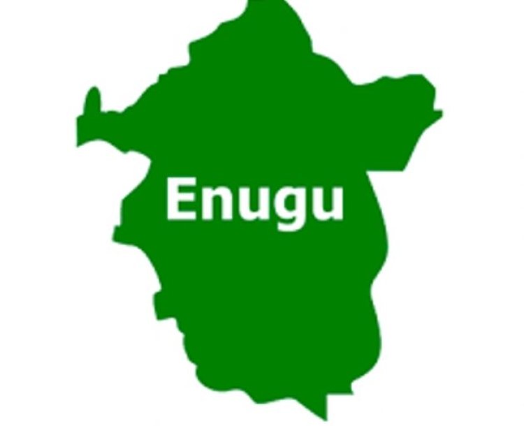 Enugu Commissioner: Private Schools to Pay N300,000 Tax, Not N5 Million