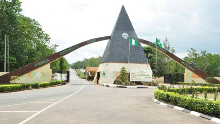 Giant Broilers Still Available for Sale at FUNAAB Integrated Venture