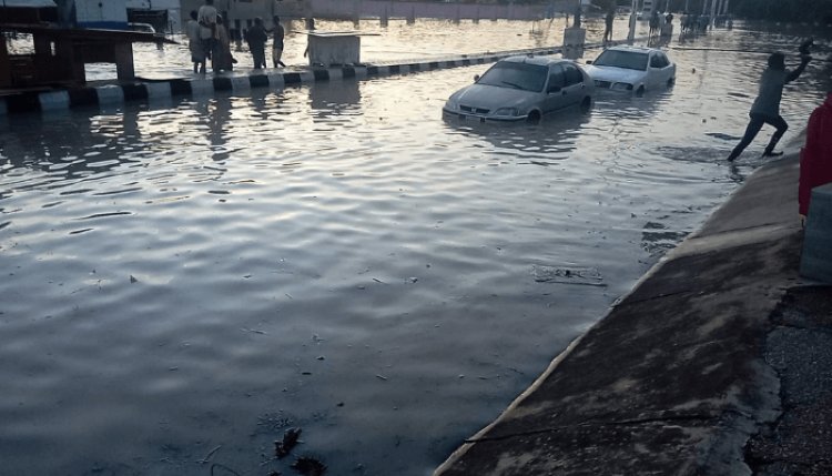 Borno State Governor Orders Immediate School Closures Due to Flooding