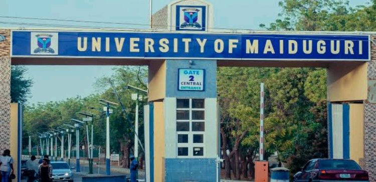 University of Maiduguri Suspends Lectures and Closes Offices Temporarily