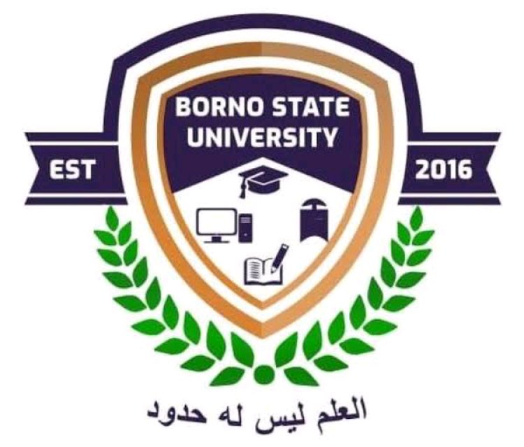 Borno State University Temporarily Closes Due to Flooding