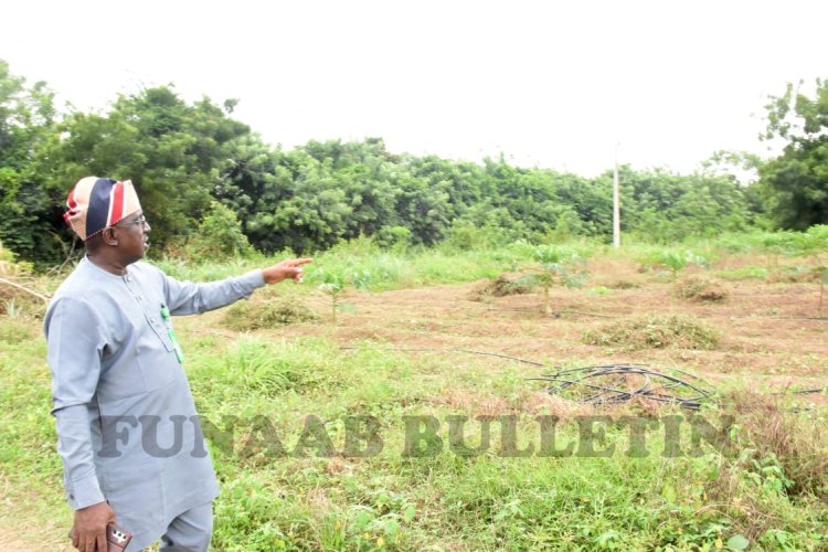 FUNAAB Expands Agricultural Initiatives with Large-Scale Pepper Cultivation and Upcoming Pawpaw Harvest