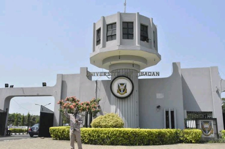 Nigerian Education Loan Fund Approves Loans for 3,283 University of Ibadan Students