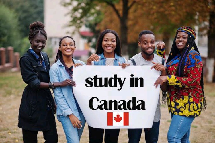 Canada to Cut International Student Permits by 10% in 2025, Tightens Work Permit Rules