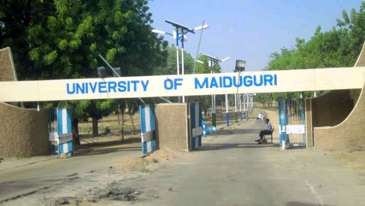 University of Maiduguri Announces Resumption of Lectures and Office Duties