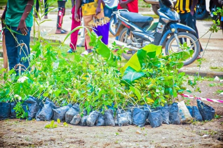 Abdulkadir Kure University Launches Campus Green-Up Project and ACRESAL Initiatives