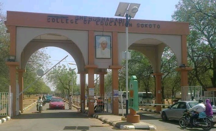 Accountant Mansur Aliyu Resigns from Shehu Shagari College of Education, Sokoto