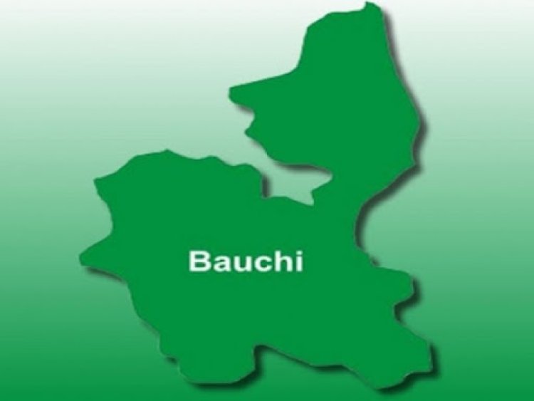 30 PhD Holders Resign from Sa’adu Zungur University in Bauchi Due to Poor Pay—ASUU