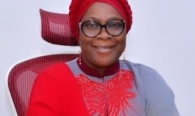 LASUED Vice Chancellor Celebrates Nigeria's 64th Independence Day with Message of Unity and Progress