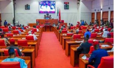 Senate Moves to Establish Federal University of Agriculture in Osun