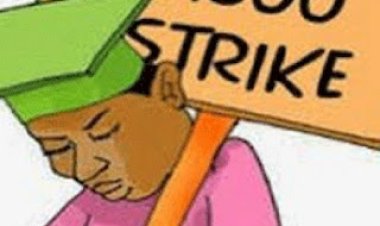ASUU Nsukka Zone Warns of Imminent Strike Over Unresolved Issues, Blames Federal Government's Neglect
