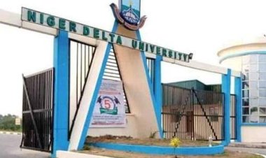 Niger Delta University (NDU) Secures 38th Best University in Nigeria's Times Higher Education Rankings