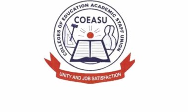 COEASU Commends Passage of Bill Empowering Minna College of Education to Award NCE and B.Ed Degrees