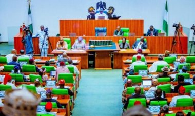 Reps Move to Establish Entrepreneur University in Lagos