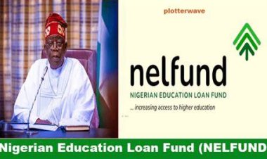 Defaulters Will Not Face Pressure, Says NELFUND