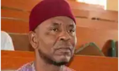 Dr. Aminu Maidala Appointed Professor of Animal Science at Federal University Gashua