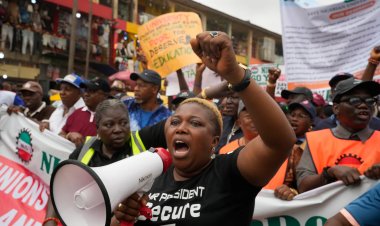 Nigeria Union of Teachers Warns FG as Shortage of  Over 194,876 Teachers In Public Primary Schools Across Continues