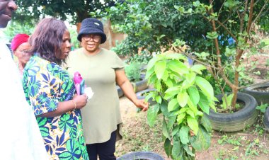 UNILAG Farm Empowers Women Through Sustainable Farming Initiatives