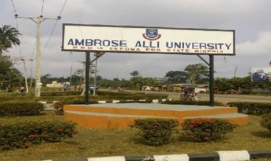 AAU Governing Council Sets Up Committees to Address Infrastructure, Alumni Relations, and Salary Disparities