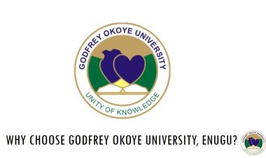 Godfrey Okoye University: A Leading Catholic Institution in Nigeria’s Higher Education Landscape