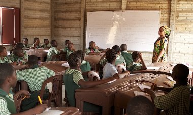 Make Agriculture Studies In Schools Mandatary, Senator Saliu Mustapha Charges FG