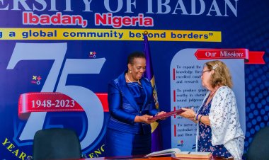 UI’s Global Ranking Driven by Excellence, Collaboration with Leading Researchers, Says DVC