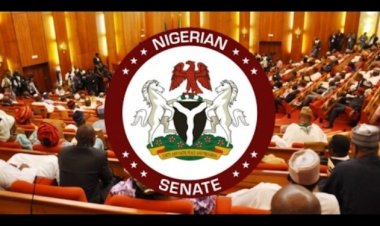 Senate Passes for Second Reading Bill for Establishment of Kogi University of Medicine
