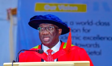 University of Ibadan Professor Adeniyi Abidemi Adenipekun Highlights Advances in Improvements in Cancer Treatment in Nigeria, Urges More Support