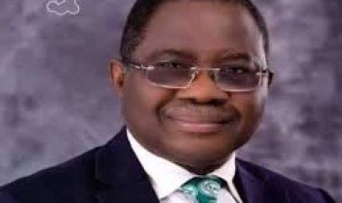 Prof. Innocent Ujah Suspended as FUHSO VC