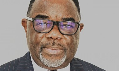 Pan-Atlantic University Promotes Osuji to Rank of Professor for Outstanding Contributions to Economics