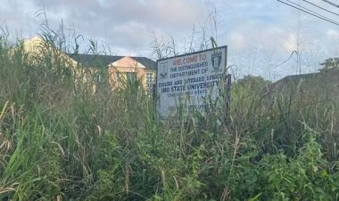 IMSU Students Voice Frustration Over Overgrown Grasses, Raising Safety Concerns on Campus