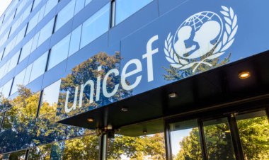 UNICEF Launches Internship Programme ,Offers Global Opportunities for Students and Graduates