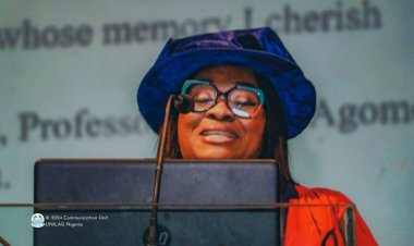 Professor Donna Chioma Pioneers Mercury-Free Dental Cement with Locally Sourced Materials