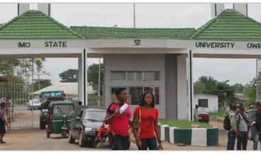 IMSU Releases Post UTME Results: Step-by-Step Guide on How to Check