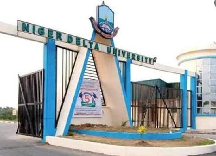 NDU Releases Post-UTME Screening Results for 2024/2025 Session