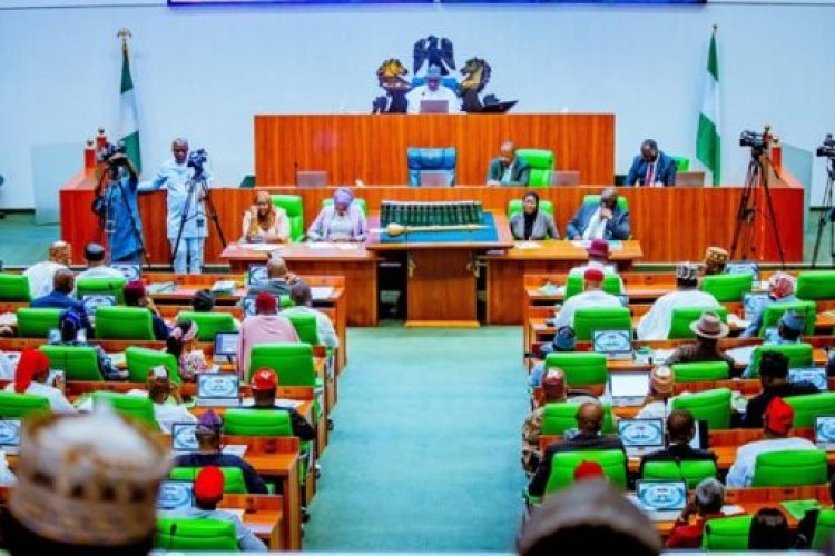 Reps Move to Establish Entrepreneur University in Lagos