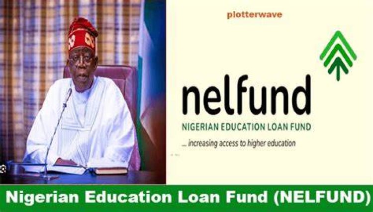 Defaulters Will Not Face Pressure, Says NELFUND