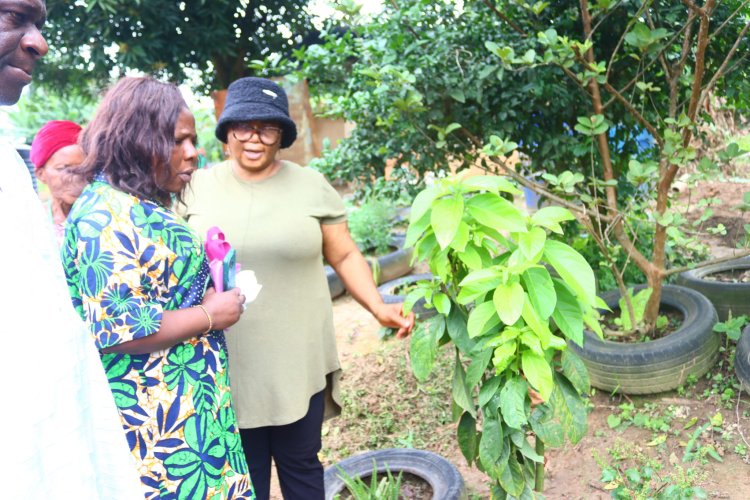 UNILAG Farm Empowers Women Through Sustainable Farming Initiatives