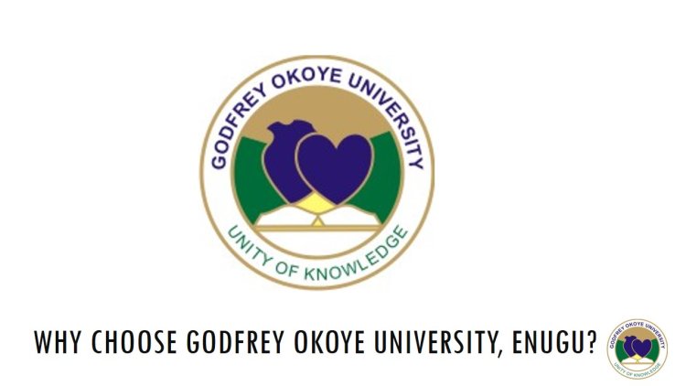 Godfrey Okoye University: A Leading Catholic Institution in Nigeria’s Higher Education Landscape